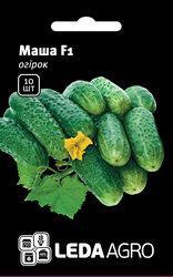 Насіння огірка Маша F1  10шт  "ЛедаАгро", фото 1
