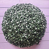 Самшитий шар D 40 см, фото 3