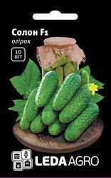 Насіння огірка Солон F1 10шт "ЛедаАгро", фото 1