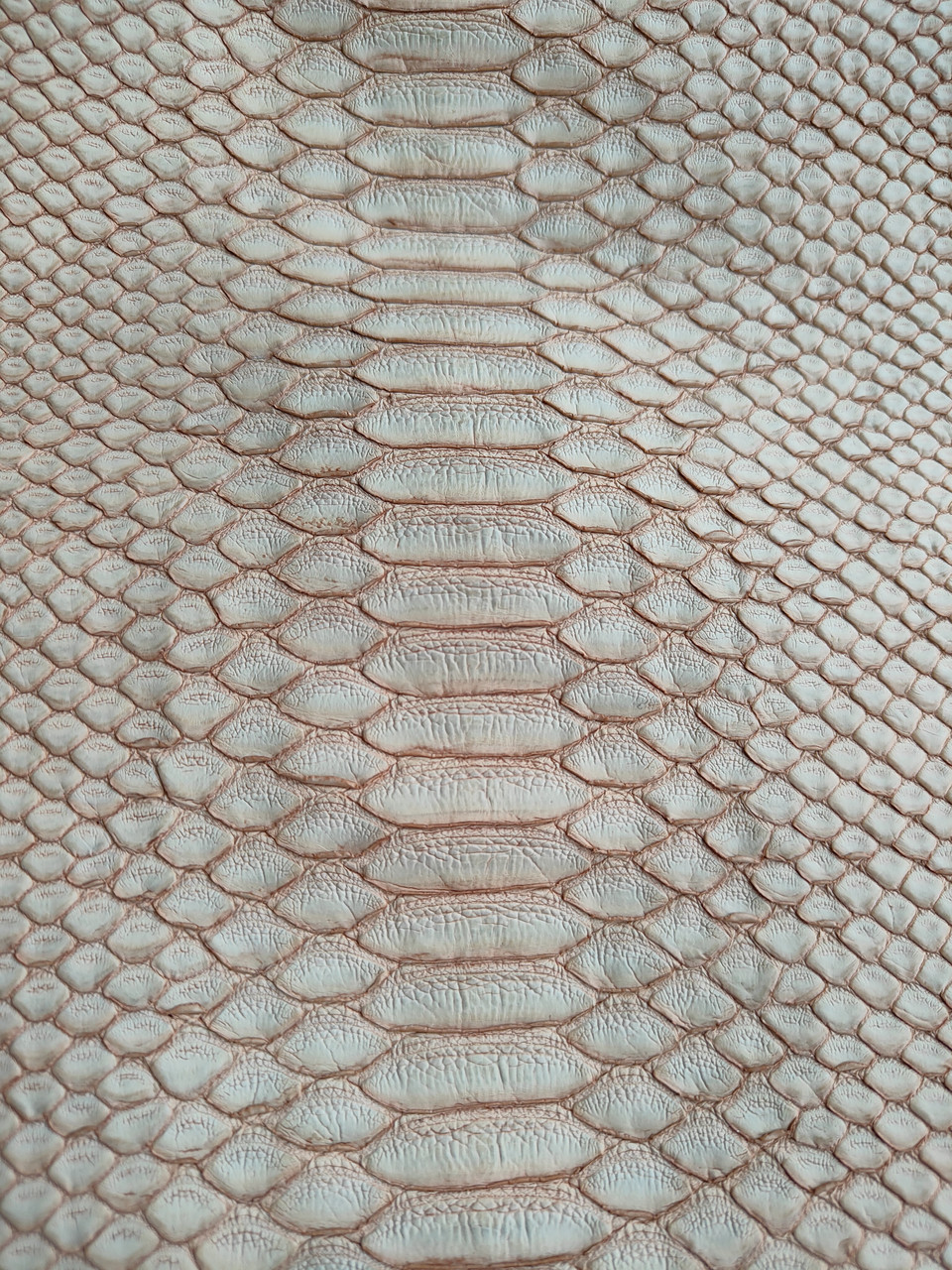 Шкіра пітона, морквянна, 1,25 м., КП024