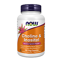Холін і Інозитол 500 мг 250/250 (вітамін В4 і вітамін В8) Now Foods Choline & Inositol 100 капсул