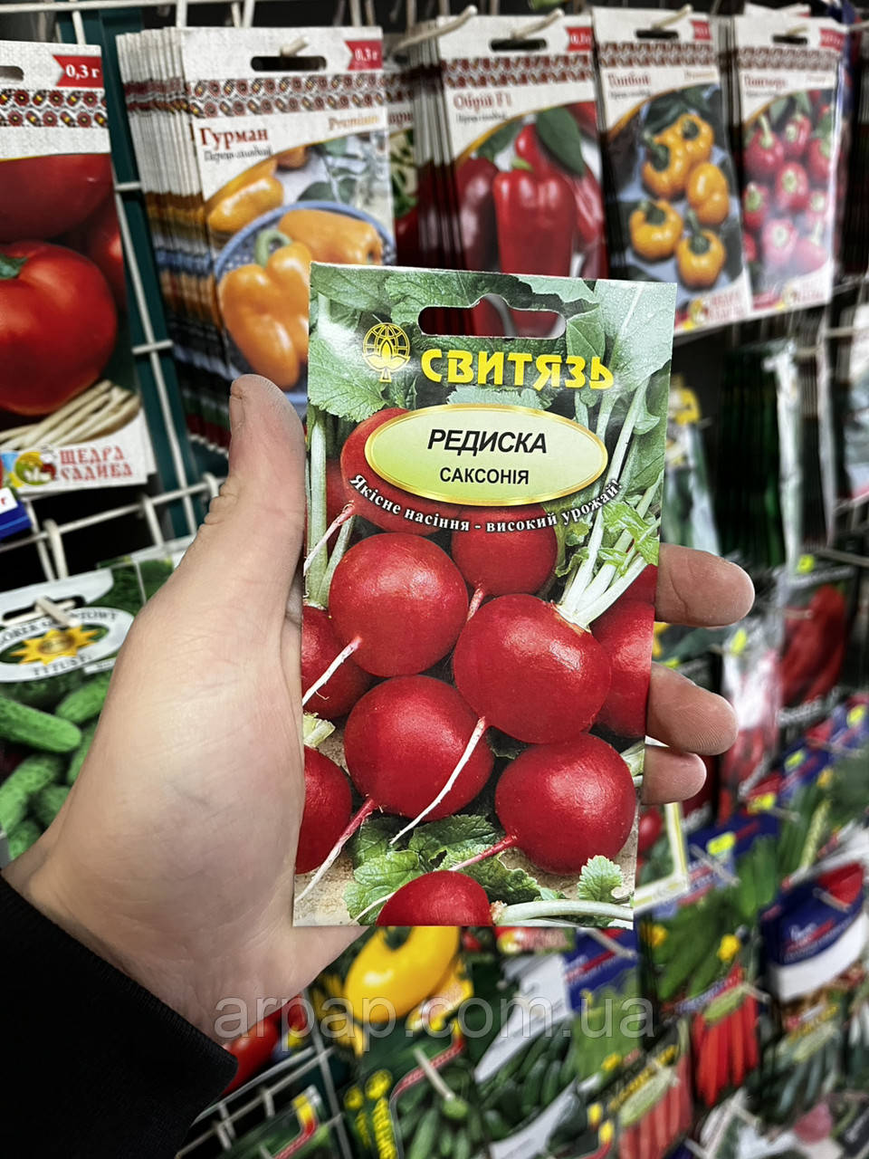 Насіння Редис Сакса Seedera, 3 г, фото 1