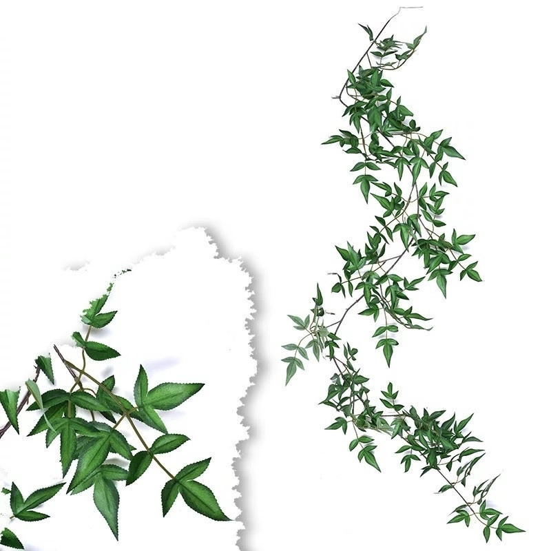 Майстерна лиана рускусу зелена 180 см, фото 1