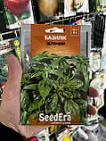 Насіння Базилік Зелений Seedera, 5 г, фото 2