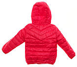 Ультралегкий легкий теплий якісний пуховик для дитини на рік — 1,5 л, Kurt, фото 2