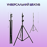 Кільцева лампа RGB LED 45 см з штативом, Кольорова лампа, Кільцева лампа для блогера з тримачем до телефону, фото 2