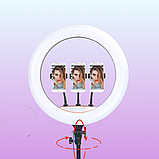 Кільцева лампа RGB LED 45 см з штативом, Кольорова лампа, Кільцева лампа для блогера з тримачем до телефону, фото 5