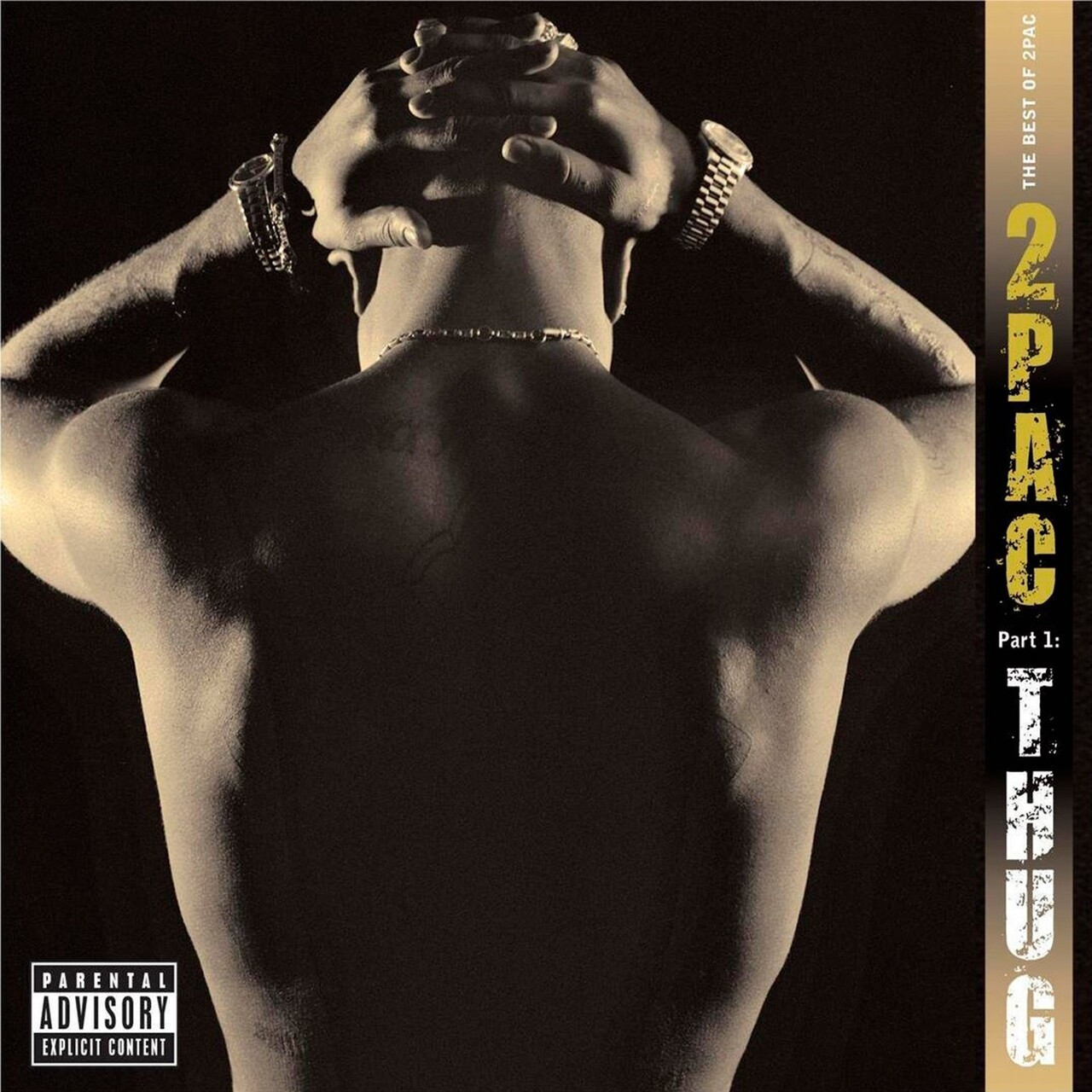 2Pac – The Best Of 2Pac – Part 1: Thug (2007) (digipak) (CD Audio)