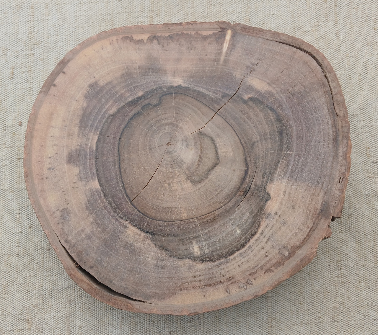 Зріз дерева для декору будинку, шліфований з двох боків d 185х165мм.