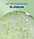 Гель для душу Nivea MEN 250 мл Lemongrass & Oil, фото 6