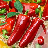 Перець солодкий Бивень, 0,3 г, Традиція, фото 2