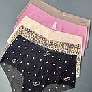 Безшовні трусики Victoria's Secret PINK No Show Cheeky Panty, Набір 5 шт, Леопардові, фото 2