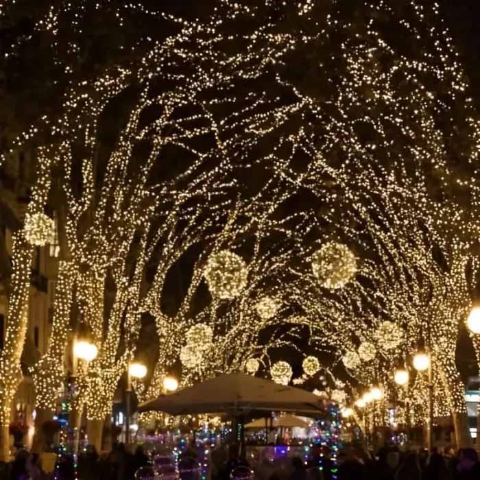 Гірлянда світлодіодна 800 LED, вулична 50 метрів. Білий