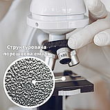 Захист двигуна Audi A4 (B6) з 2000-2004 р. Автомат, AutoSteel, фото 8