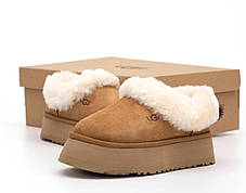 Зимові Жіночі Черевики UGG Tasman Platform Light Brown / УГГ Тасман Платформ Світло Коричневі, фото 4