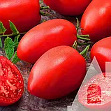Томат Даліда, 0,1 г, Садиба, фото 3