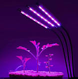 Набір 2 в 1 фітолампа Plant Grow Light 8075, фітострічка 2 м 9439, фото 5