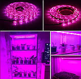 Набір 2 в 1 фітолампа Plant Grow Light 8075, фітострічка 2 м 9439, фото 7