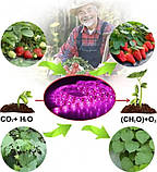 Набір 2 в 1 фітолампа Plant Grow Light 8075, фітострічка 2 м 9439, фото 8
