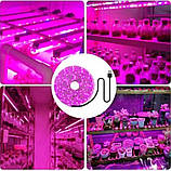 Набір 2 в 1 фітолампа Plant Grow Light 8075, фітострічка 2 м 9439, фото 9