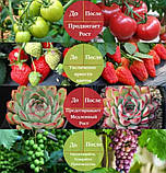 Набір 2 в 1 фітолампа Plant Grow Light 8075, фітострічка 2 м 9439, фото 10