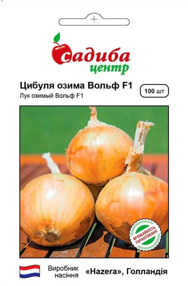 Цибуля ріпчаста Вольф F1, 100 шт., СЦ, фото 1