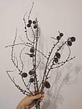 Натуральні гілки модрини з шишками 7 штук, фото 2