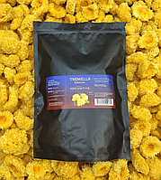 Капсули 1000шт (0,5г) екстракт гриба Трамела 1:10 з 50% полісахаридів – Сертифікований продукт