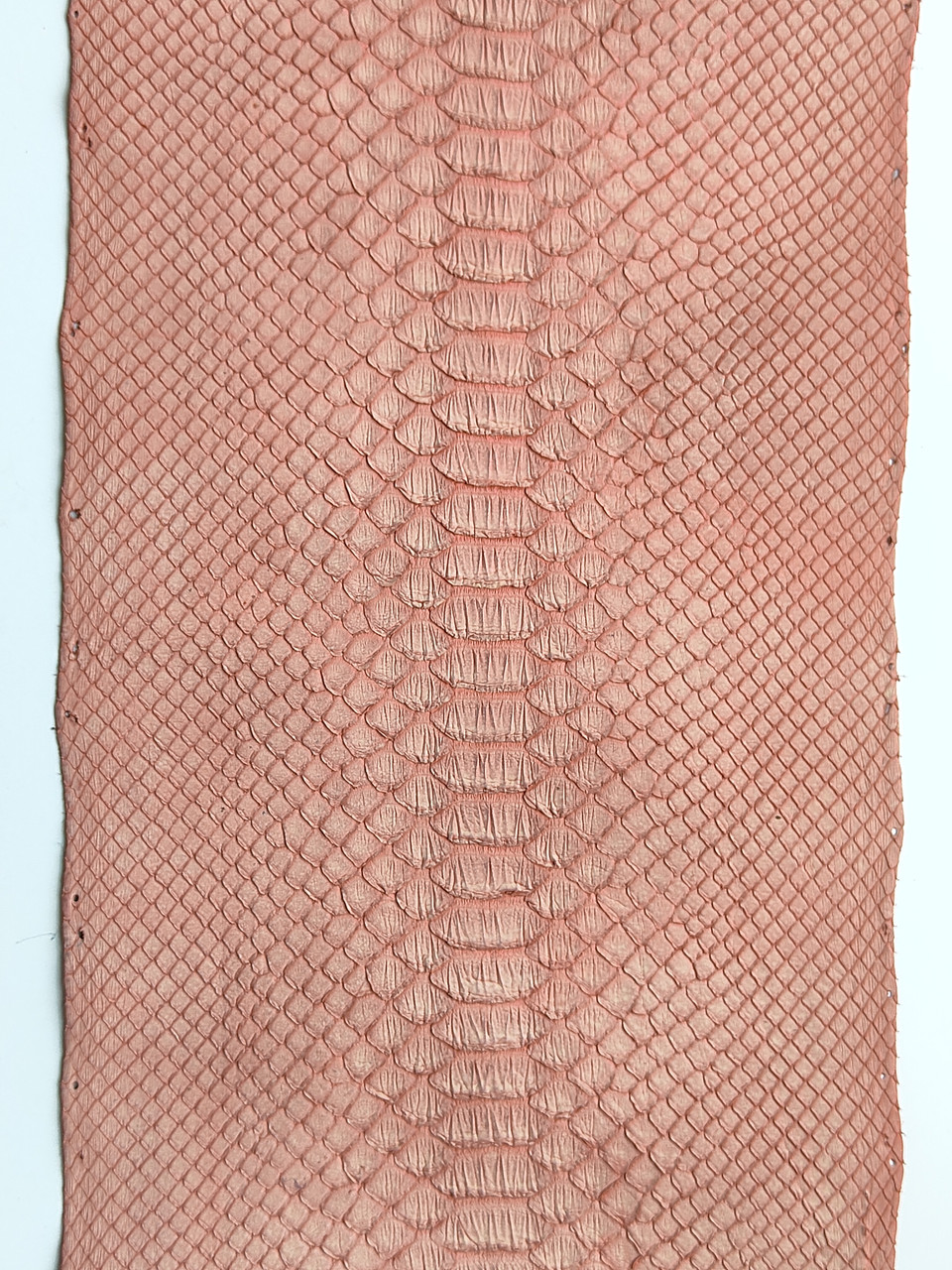Шкіра пітона, морквянна, 2,95 м., КП027
