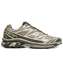Чоловічі кросівки Salomon XT-6 GTX Beige Brown