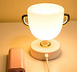 Нічник Кубок Чемпіона дитячий світильник для трофеїв акамуляторний з пультом W-00603, фото 4