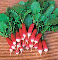 Редис Французький сніданок, 10 г. (Власне фасування з оригінального упакування).