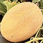 Диня Мазін 10 шт (zip-paket), фото 3