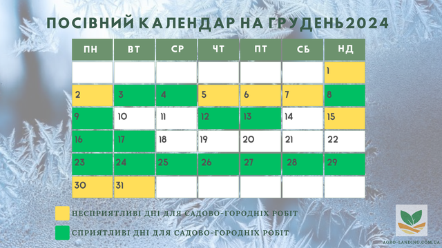 місячний календар на грудень 2024