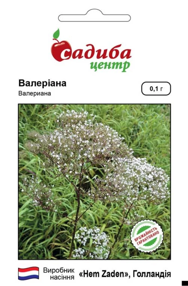 Валеріана, 0,1 г, СЦ, фото 1