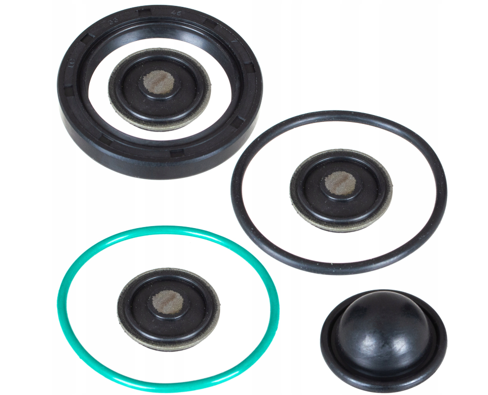 Ремкомплект паливного насоса Opel 2.2 Z22YH Peugeot, Citroen 2.0 HPi 93174538 24465785