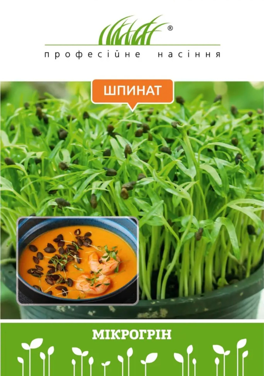 Мікрозелень шпинату 30 г, W.Legutko (Польща), Професійне насіння
