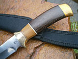 Ніж мисливський Wolf Gold Н-783 в чохлі 27 см, фото 5