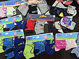 Дитячі носки тормозки махрові 2пари 12-24 міс, фото 3