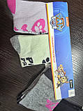 Дитячі носки 3 пари Німеччина 12-24 міс, фото 6
