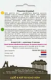 Стокротка Помпон суміш, 0,05 г, Садиба, фото 3