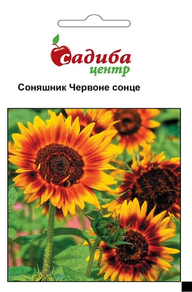 Соняшник декоративний Червоне сонце, 1 г, СЦ, фото 1