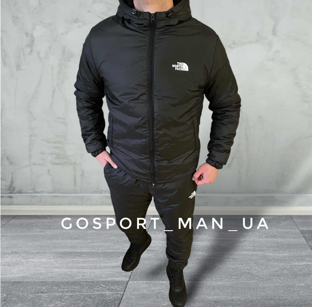 Зимовий спортивний чоловічий костюм The North Face з плащівки