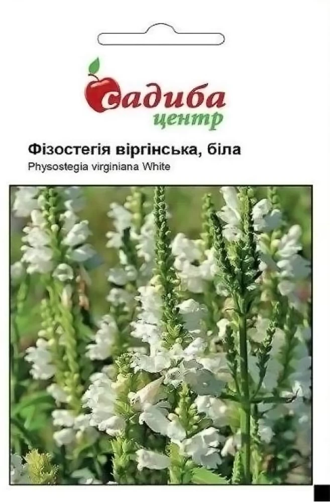 Фізостегія Віргінська біла, 0,1 г, СЦ, фото 1