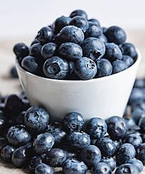 Чорниця (лохина) "Торо" 3-річна (популярний американський сорт)