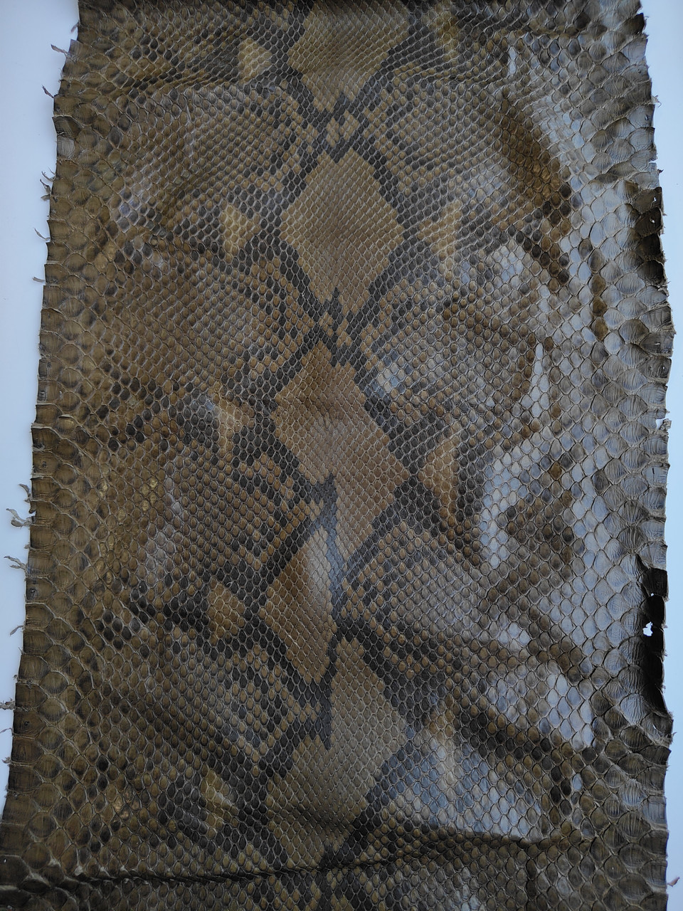 Шкіра пітона, коричнева, 1,45 м., КП054