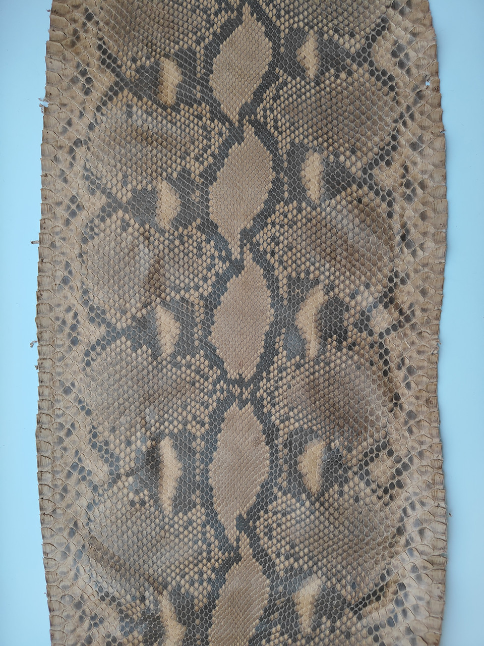 Шкіра пітона, коричнева, 2 м., КП055