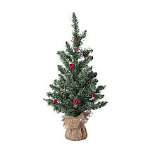 Сосна 0,45 м. Creston Frosted зелена з шишками та ягодами