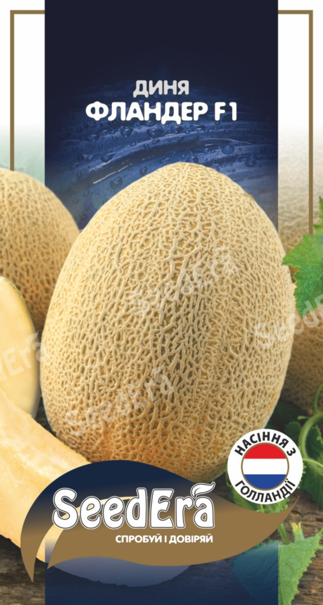 Насіння Диня Фландер F1, 10 шт, SeeDera (Голландія)