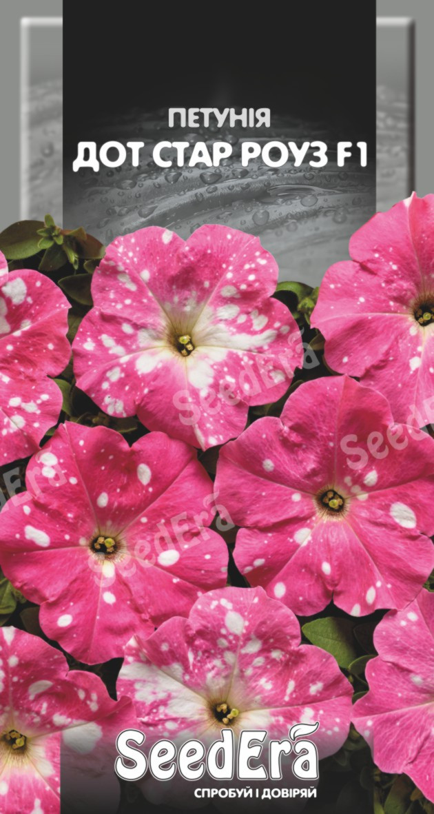Петунія Багатоквіткова Низькоросла Дот Стар Роуз F1 10шт, Seedera